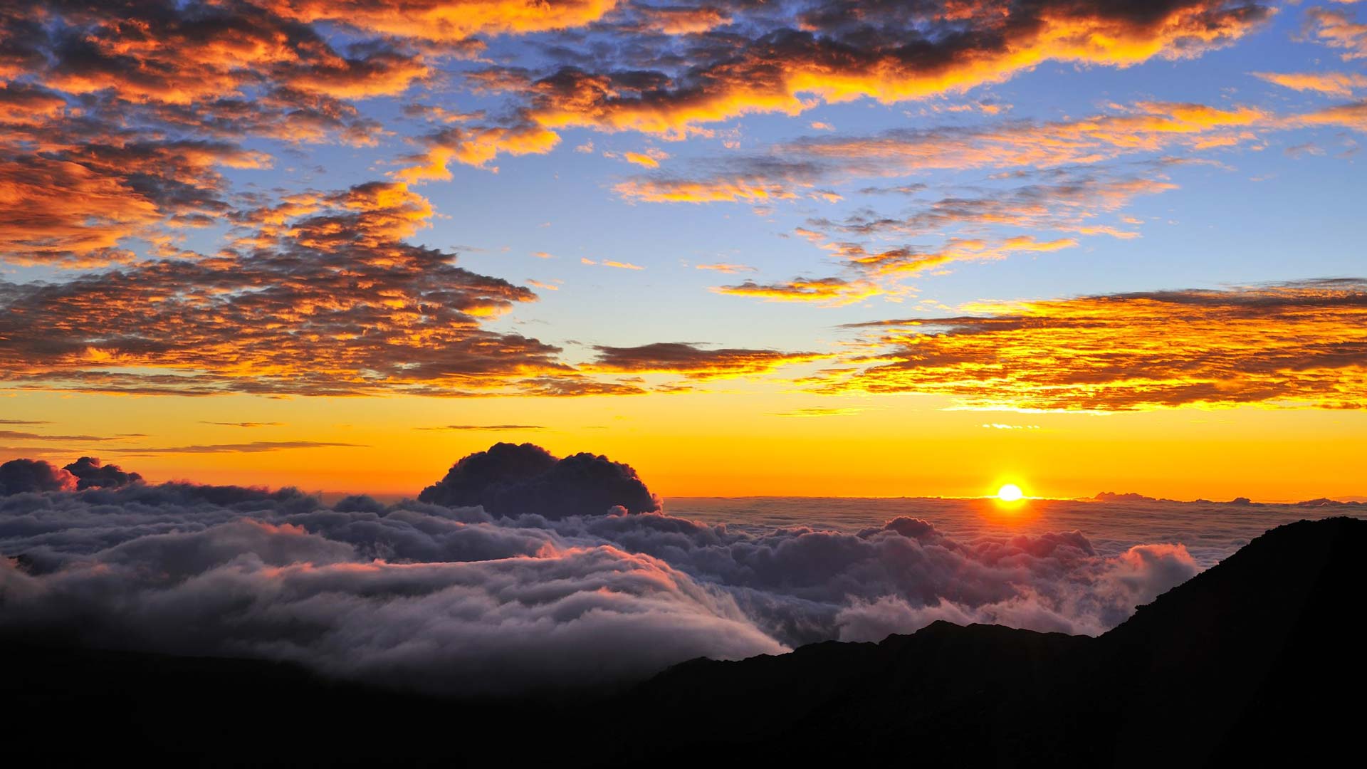 Cruiser Phil's Haleakala Sunrise: Guided Tour (Drive-In)