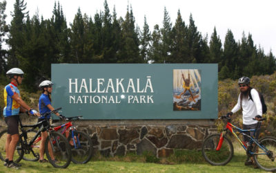One Day on Haleakala