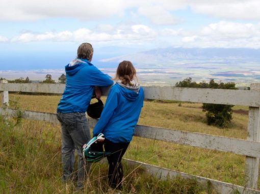 kula farm views