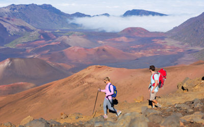 Volunteering at Haleakala National Park