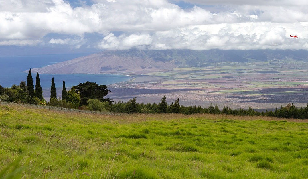 Kula Maui