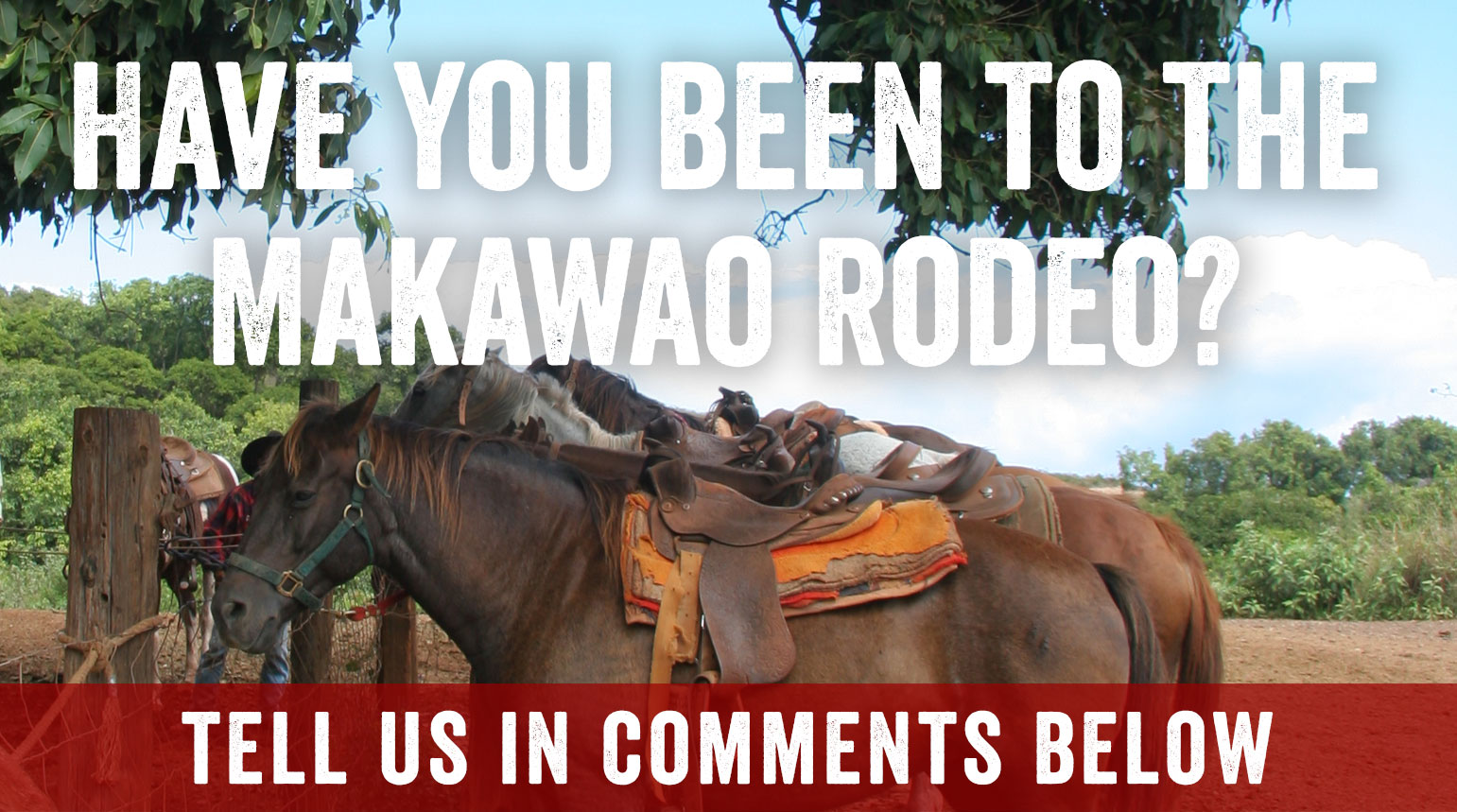 Makawao rodeo