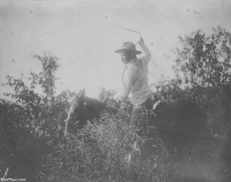 paniolo olukai