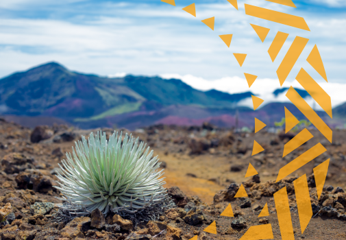 haleakala sunrise bicycle tour