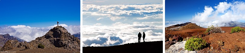 Haleakala Guided Morning National Park