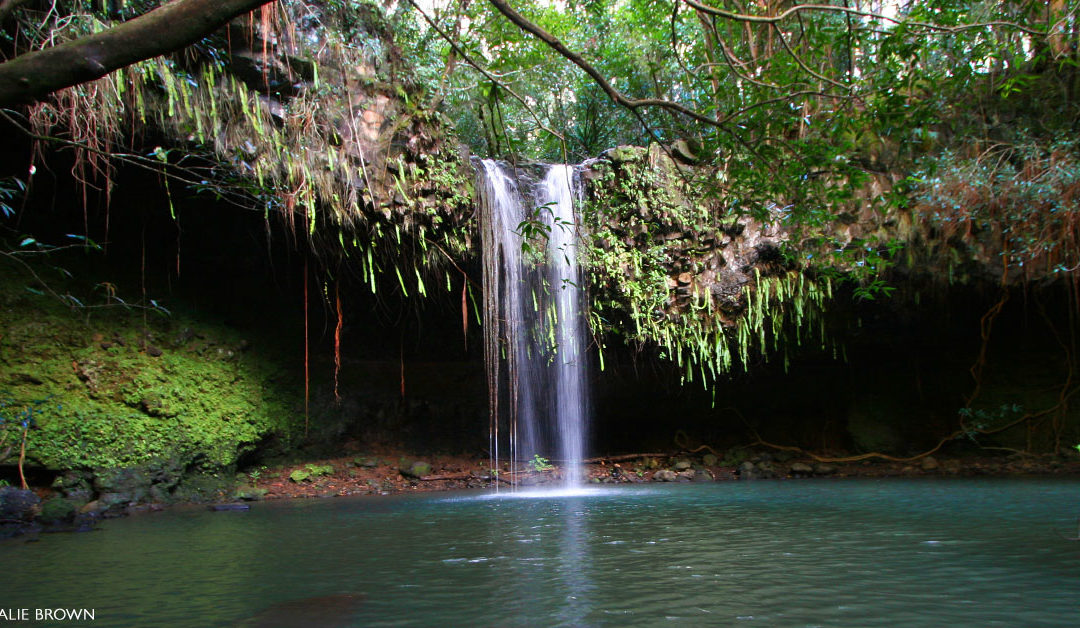 Twin Falls Haiku Maui