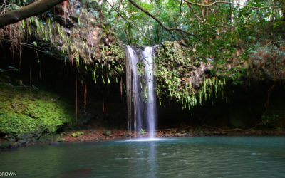 A Perfect Day Around Haiku Maui