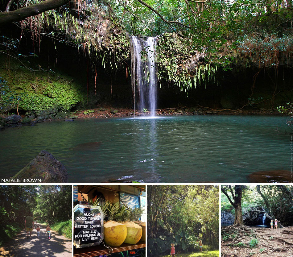 Twin Falls Maui