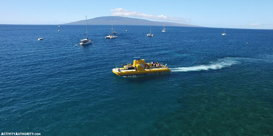 Maui Reef Dancer