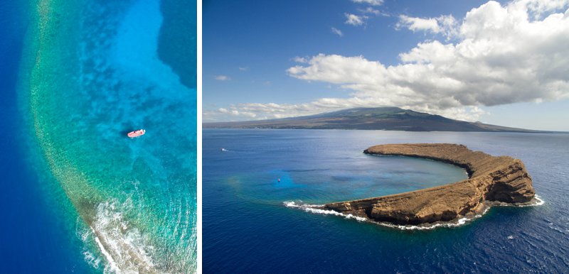 snorkeling at Molokini