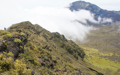 Top 10 Things To Do on Haleakala