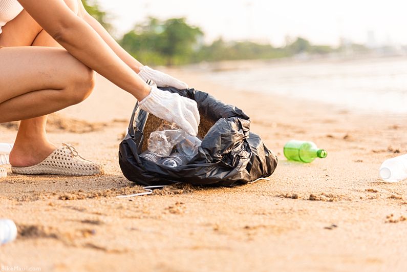 Los Angles to Maui Beach Clean Up