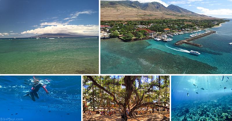 Maui Itinerary Lahaina Snorkel Shop