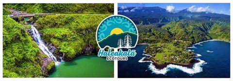 Haleakala Express Self-Guided Bike Tour | Bike Maui