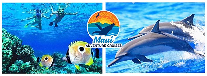 Maui Adventure Cruises Promotion