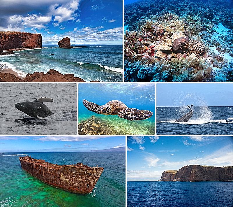 Attractions In Hawaii Lanai