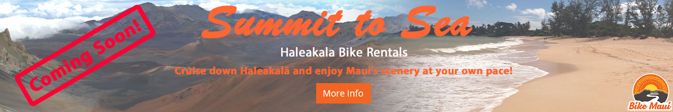 Summit To Sea Rental Banner Coming Soon