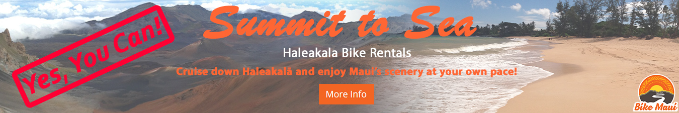 Summit To Sea Rental Yes You Can