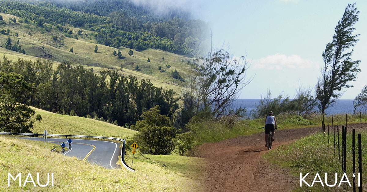 Maui Vs. Kauai